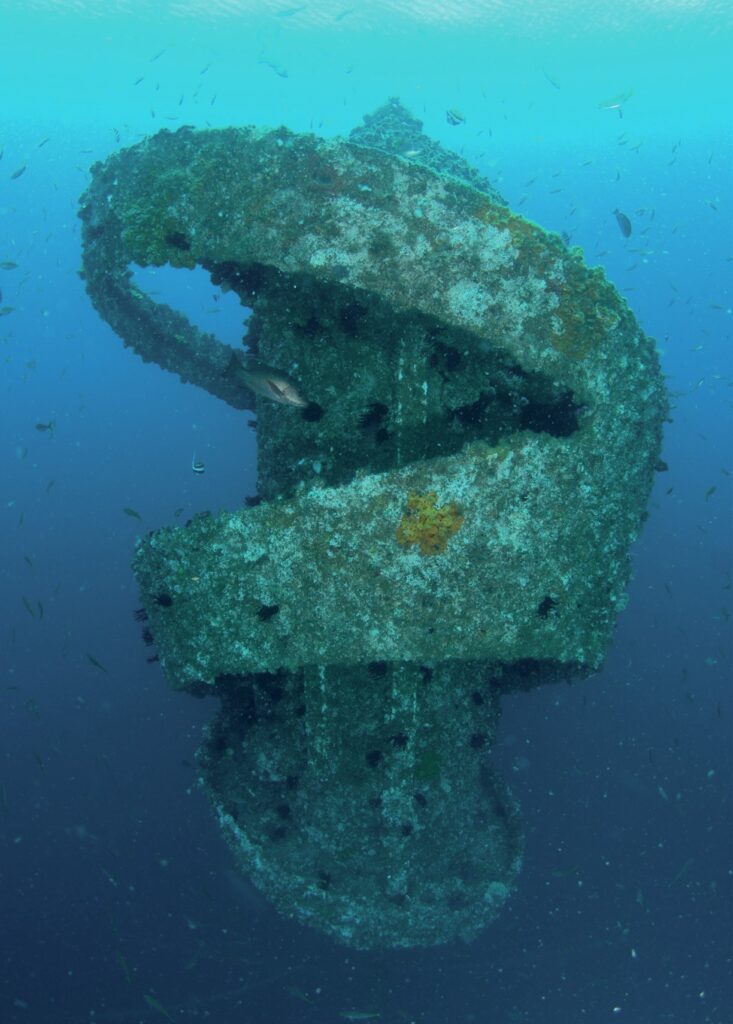 Side view of Wonder Reef Structure