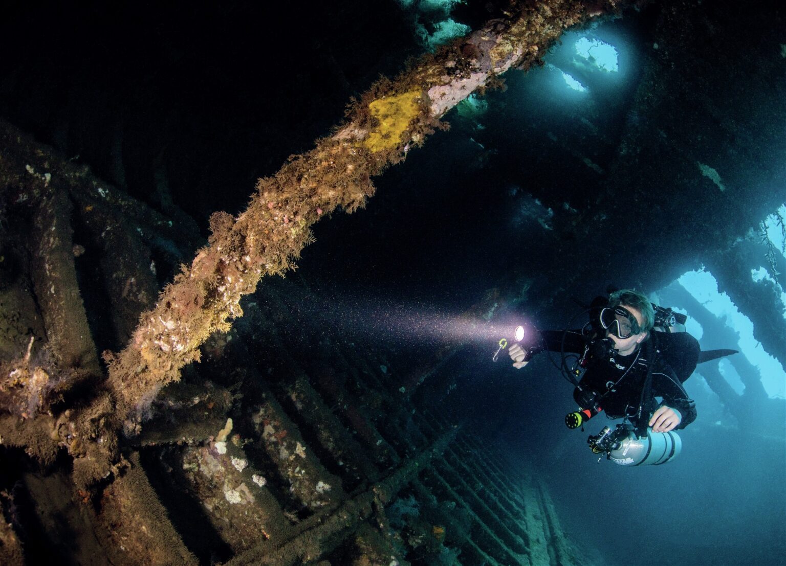 Inside the Mola’s Wreck