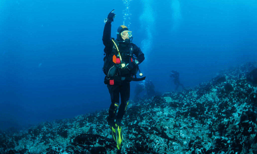 Self-Sufficient Scuba Diver