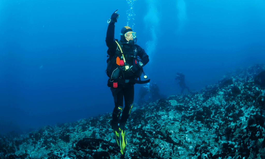 Diving Deeper: Unveiling the Top 10 Habits of Elite Scuba Divers 3 Self-Sufficient Scuba Diver