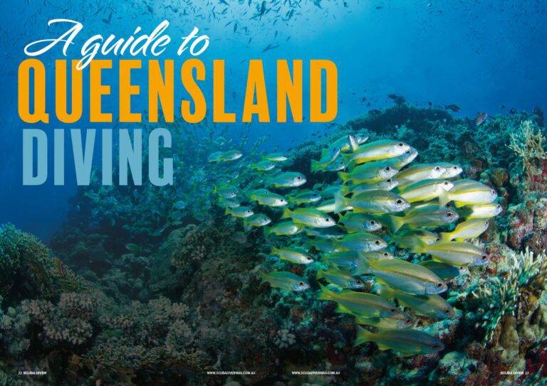 A guide to Queensland diving