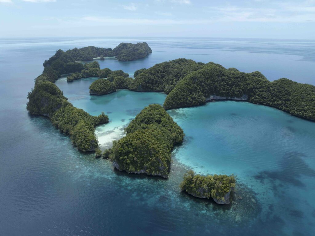 Diving Palau from the Luxurious Black Pearl Day 1