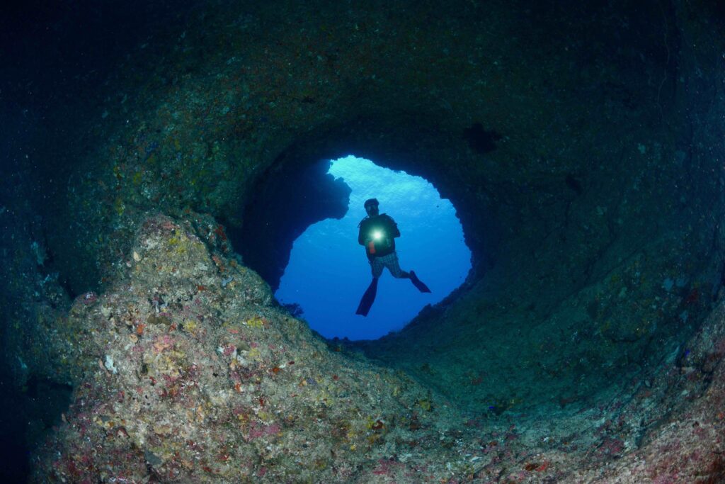 Diving Palau From The Luxurious Black Pearl Day 4