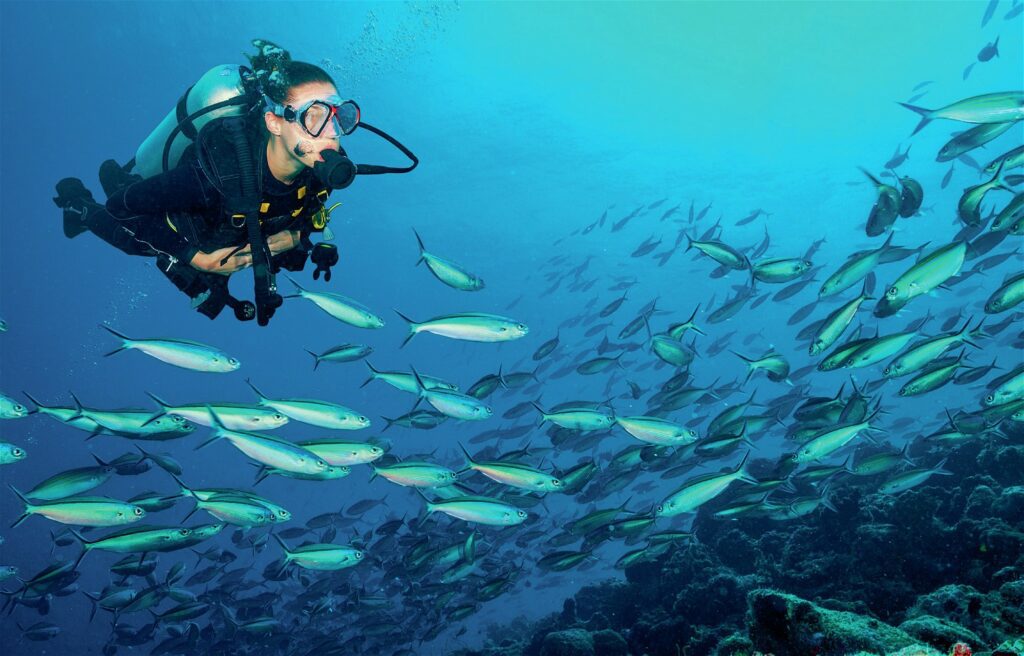 Expect vast shoals of fish in the Maldives