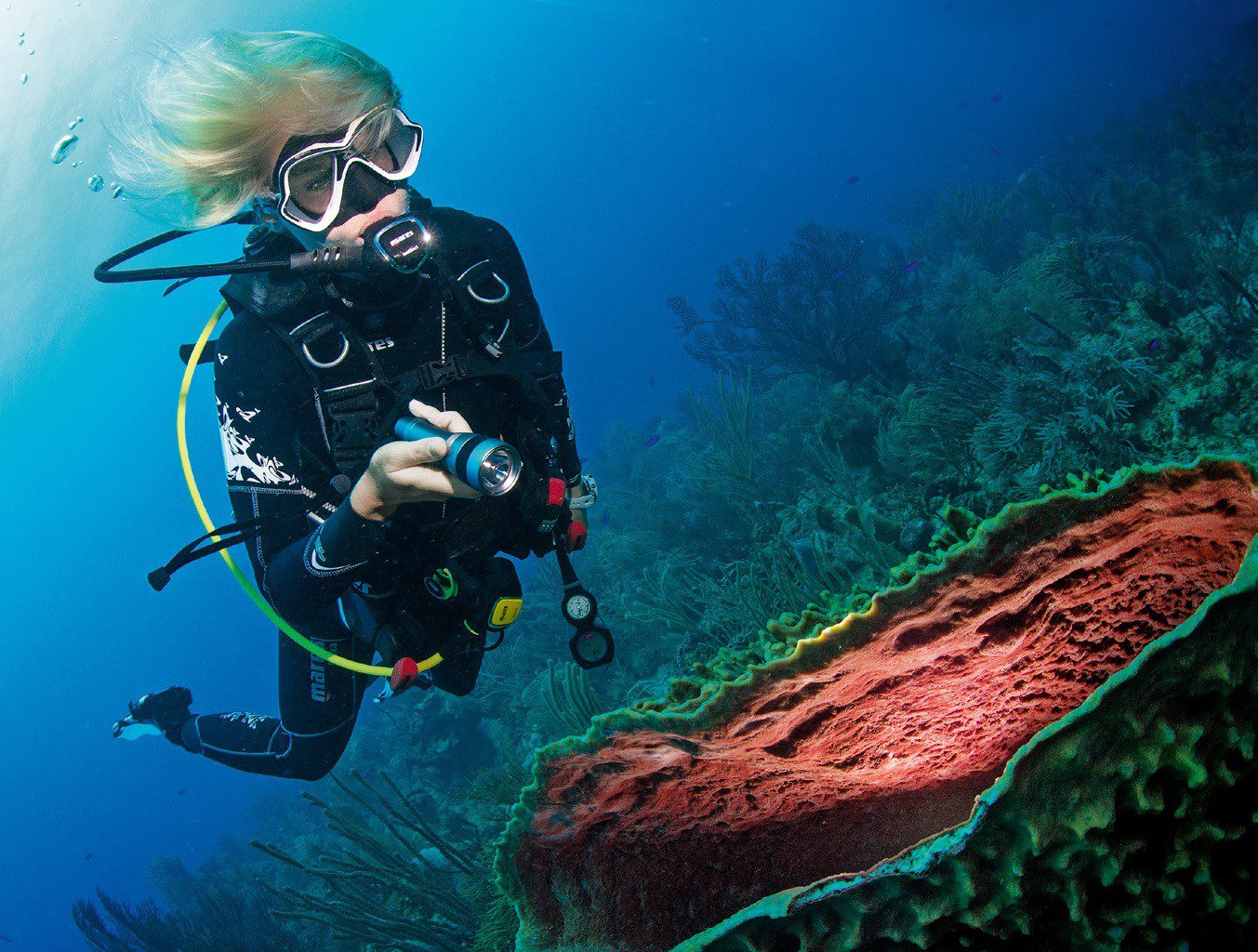 Scuba diver finding coral