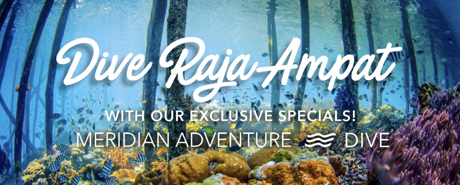 Dive Raja Ampat with Meridian Adventure Dive