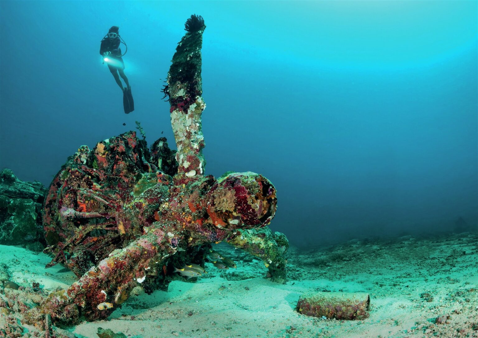 Scuba Diving Kavieng PNG South Pacific Jewel
