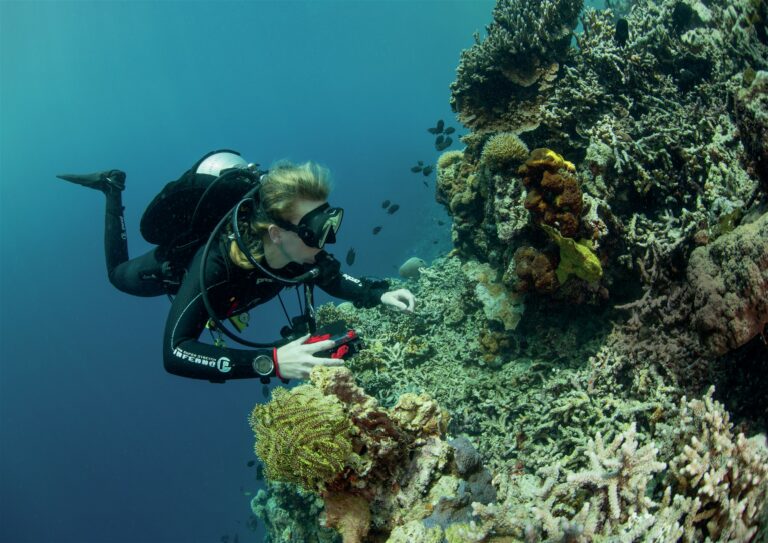 Scuba diver near coral