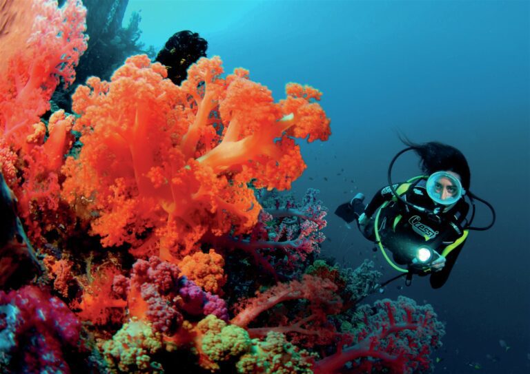 Swimming past beautiful coral