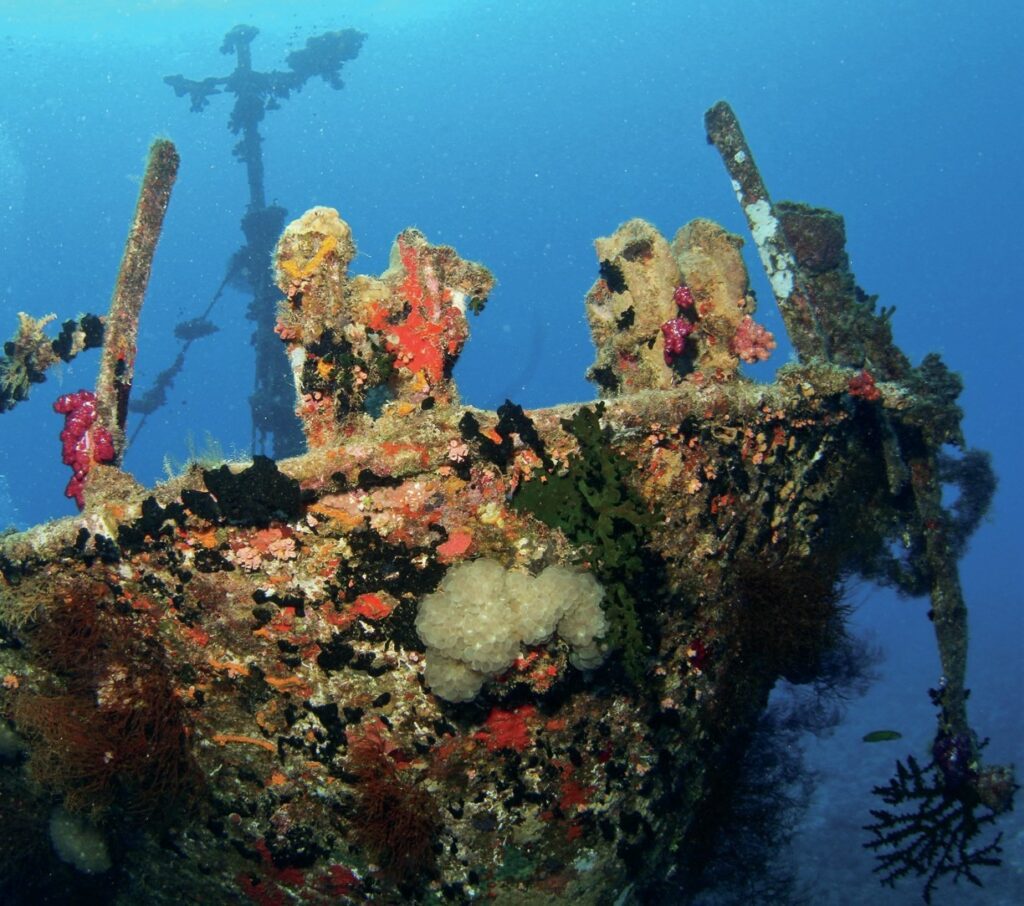 Discovering Fiji's Hidden Gem: Waidroka Bay Resort 9 The TASU II smothered in coral growth