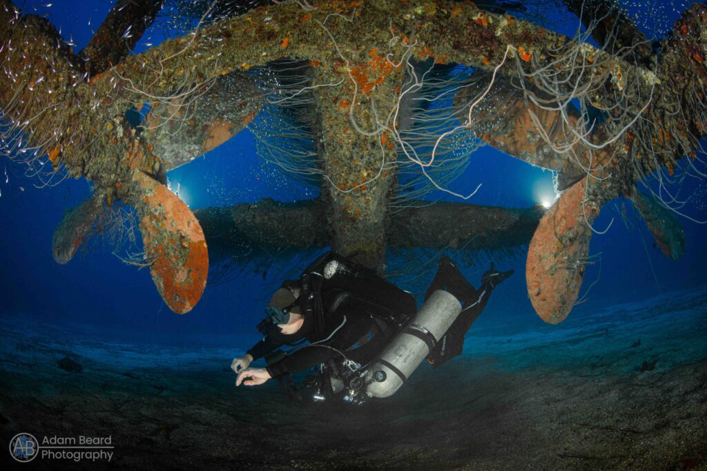 Diving Bikini Atoll