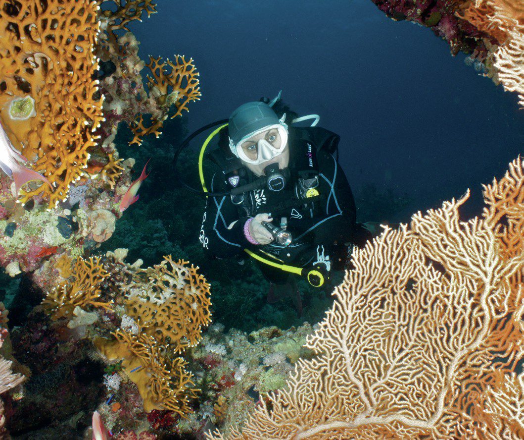scuba diver in coral