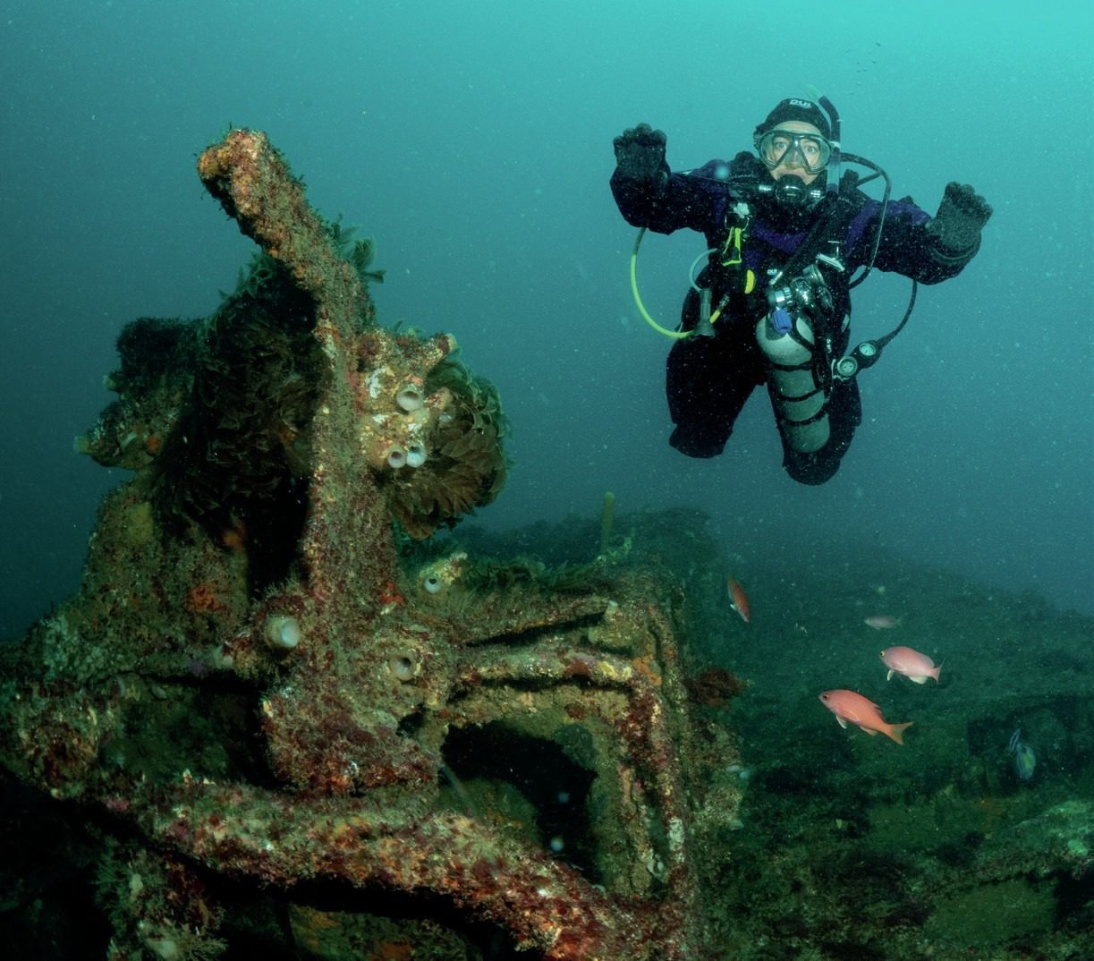 Discover the Hidden Treasures of Victoria's J-Class Submarines