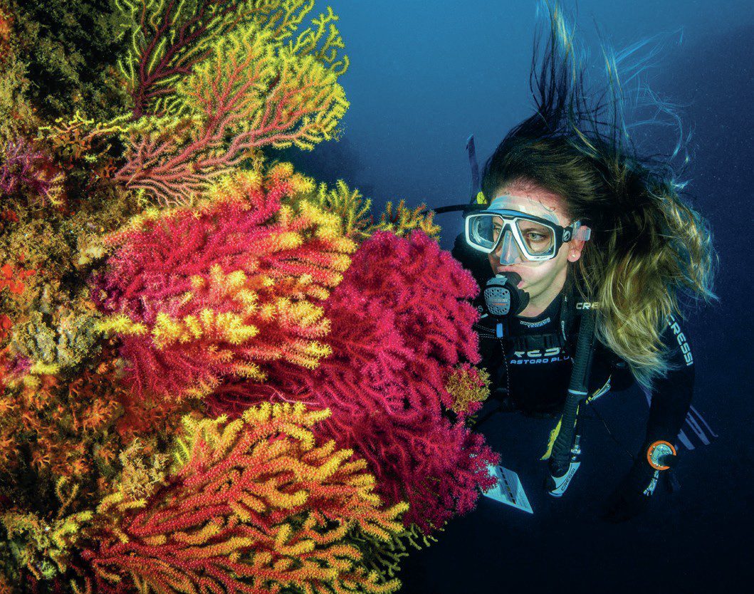 Scuba diver swimming near coral