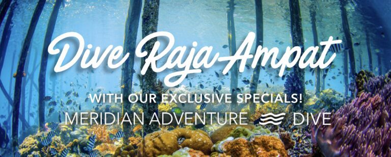 Dive Raja Ampat Exclusive Specials