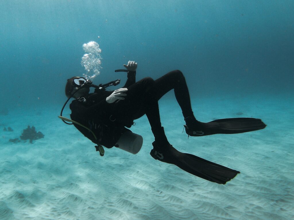Wetsuits help divers stay warm and comfortable on dives