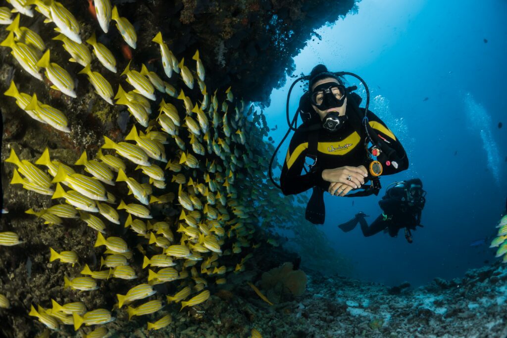 Happy warm-water diver with a shoal of snapper
