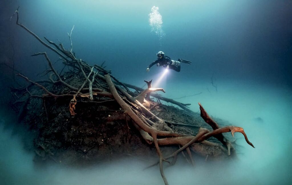 The Exposure Diamond Technique: Elevating Your Underwater Images 4 Cenote Angelita