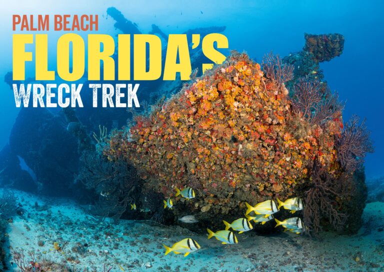 Florida's Wreck Trek