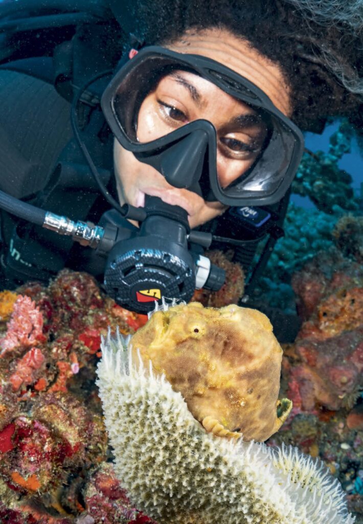 Florida’s Unique Wreck Diving Experience 2 Frogfish