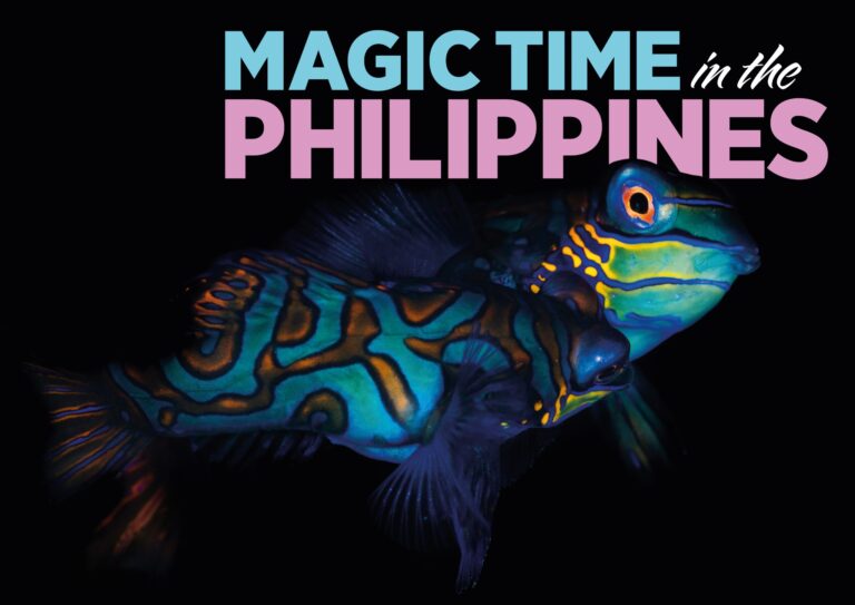 Magic of the Philippines