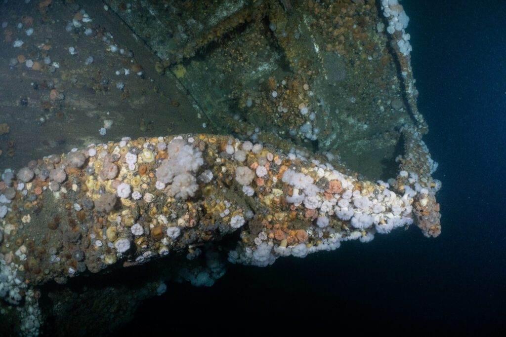 Dualnation expedition commemorates Andrea Doria