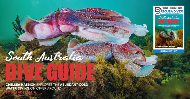 Scuba Diver ANZ Issue 60 Out Now