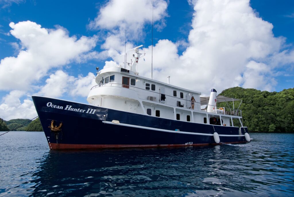 New Connector Flights With Australia Make Diving Palau Easier than Ever