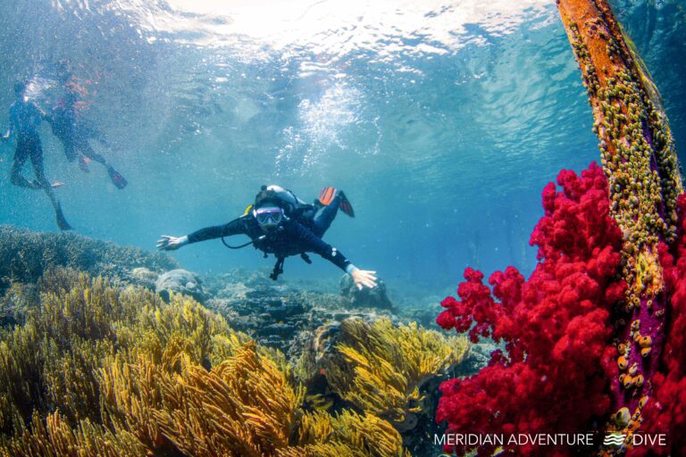 Why wear a Wetsuit in the Tropics