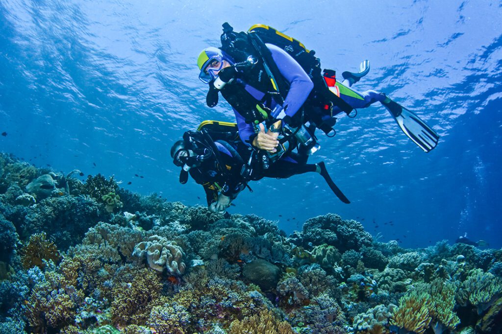 Wakatobi is a fully functional rebreather friendly dive resort, with oxygen, sorb, cylinders for O2, Dil and bailout, as well as helium on request.