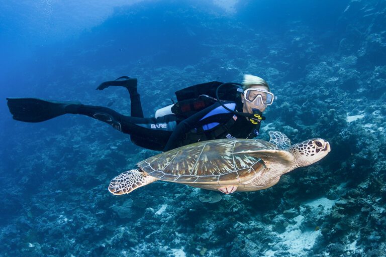Scuba diver with a friendly green sea turtle at Wakatobi, Indonesia