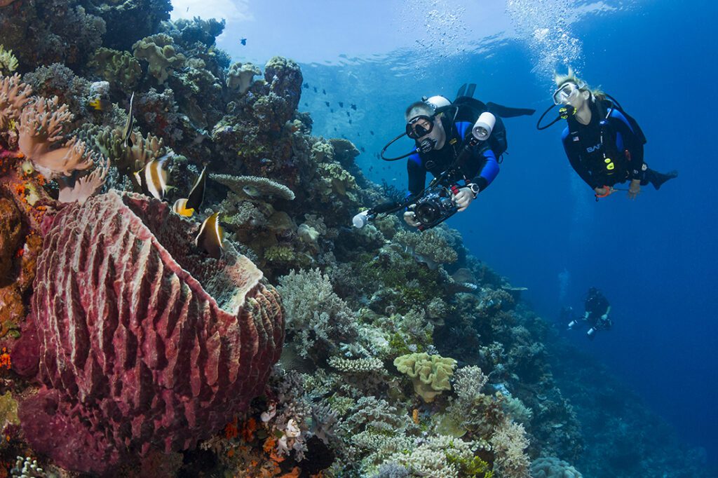 Scuba divers cruising along the side of a steep drop-off at 