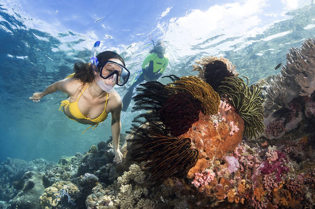 Morning, afternoon and even in the evening, snorkelling the shallow reefs at Wakatobi can provide a near endless an opportunity for seeing a variety of marine without soaking up any additional nitrogen.