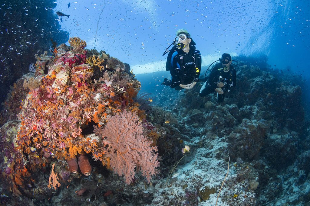 Two divers heading down the the side to the wall to explore Wakatobi's House Reef.