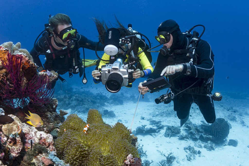 Wakatobi Dive Guide woking their magic.