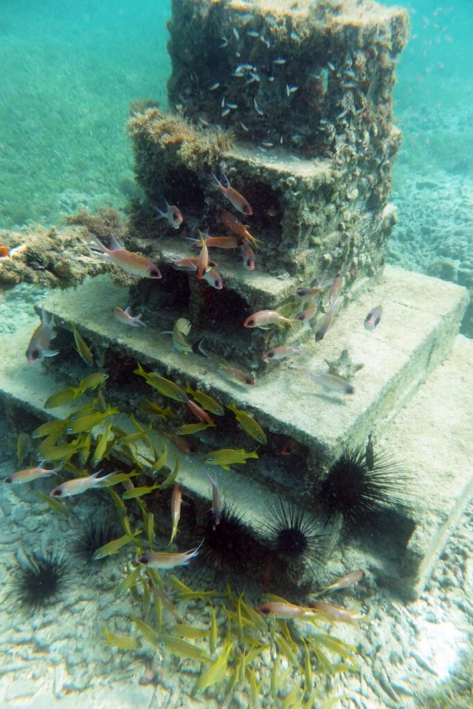Grenada Artificial Reef Project