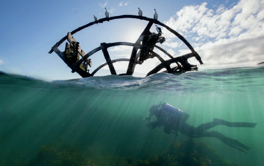 Victoria's Underwater Wonderland: Diving into the Great Southern Reef's Hidden Gem 16 Some wrecks are very shallow