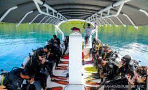 Ultimate Scuba Diving Concierge