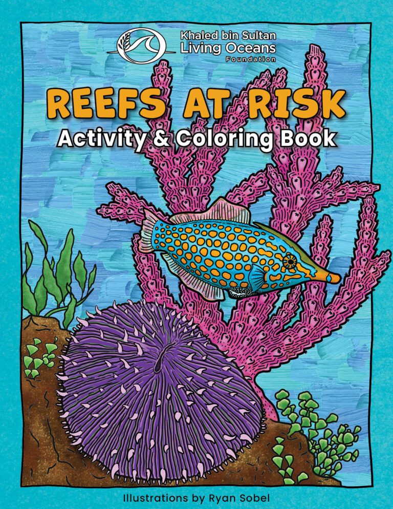Reefs at Risk Activity & Colouring Book