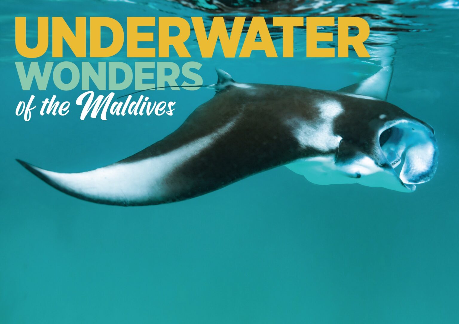 Under Water Wonders Of The Maldives