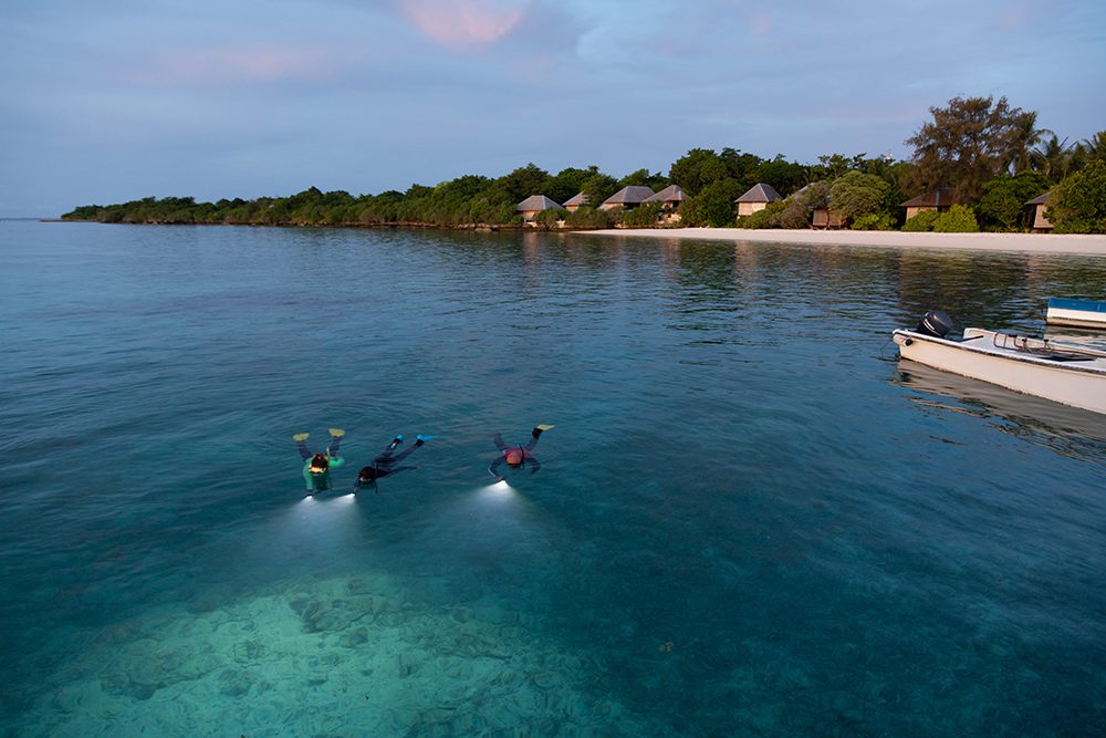While some guests are enjoying watching the sunset from the Wakatobi’s jetty bar, others are in for a little twilight snorkeling.