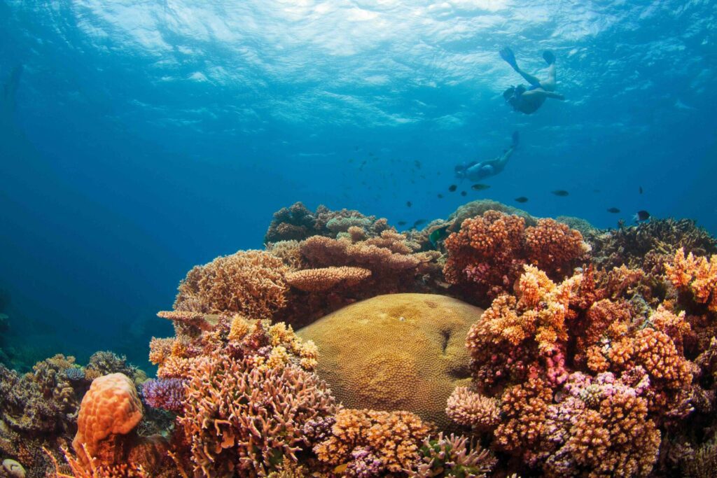 Great Barrier Reef 9