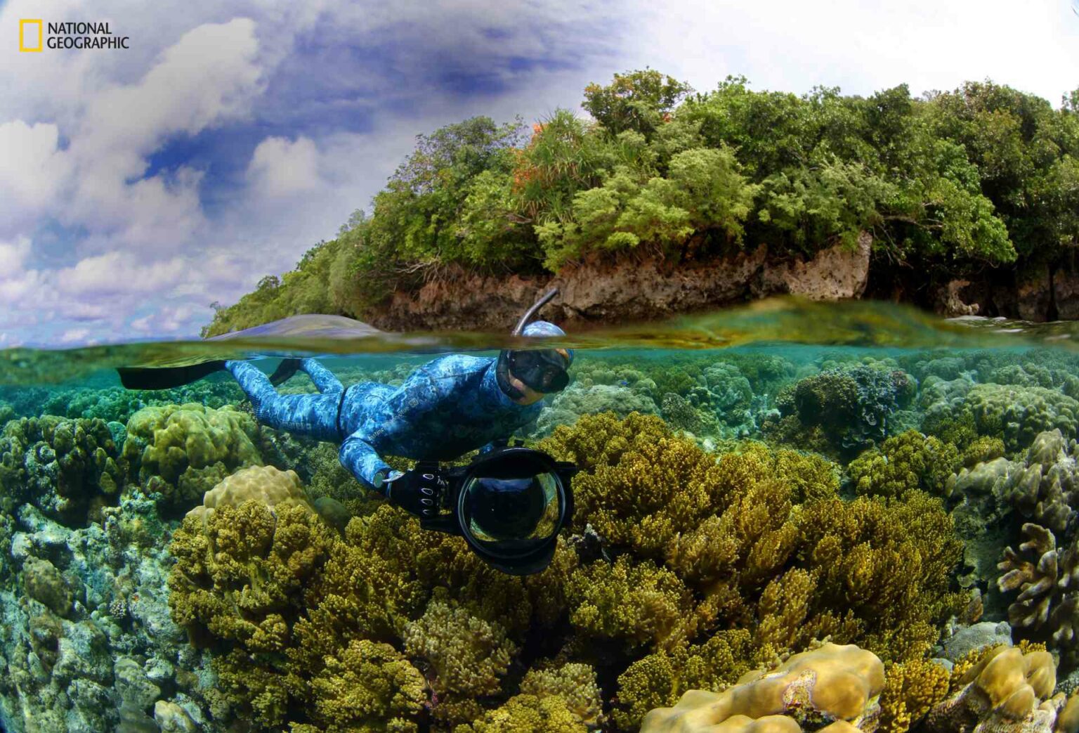 The last Pristine Seas expedition to Palau was in September 2014 (Manu San Felix / National Geographic Pristine Seas)