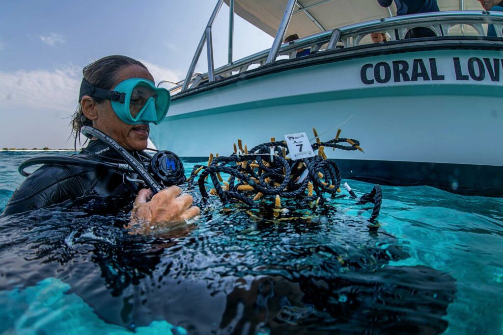 Francesca Virdis holds a rope filled with staghorn coral during a nursery installation dive (Lorenzo Mittiga)
