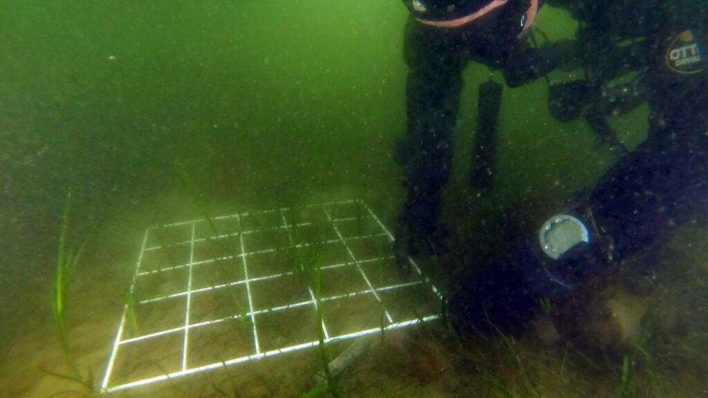 Underwater Surveyor