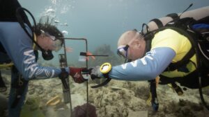 WHOI biologists Nadège Aoki (left) and Aran Mooney install an underwater speaker system to broadcast healthy reef sounds (©Woods Hole Oceanographic Institution)
