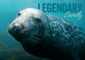 Legendary Lundy Seal in the sea