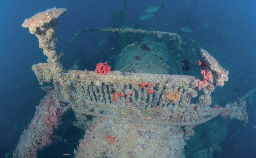 The wreck is heavily colonised