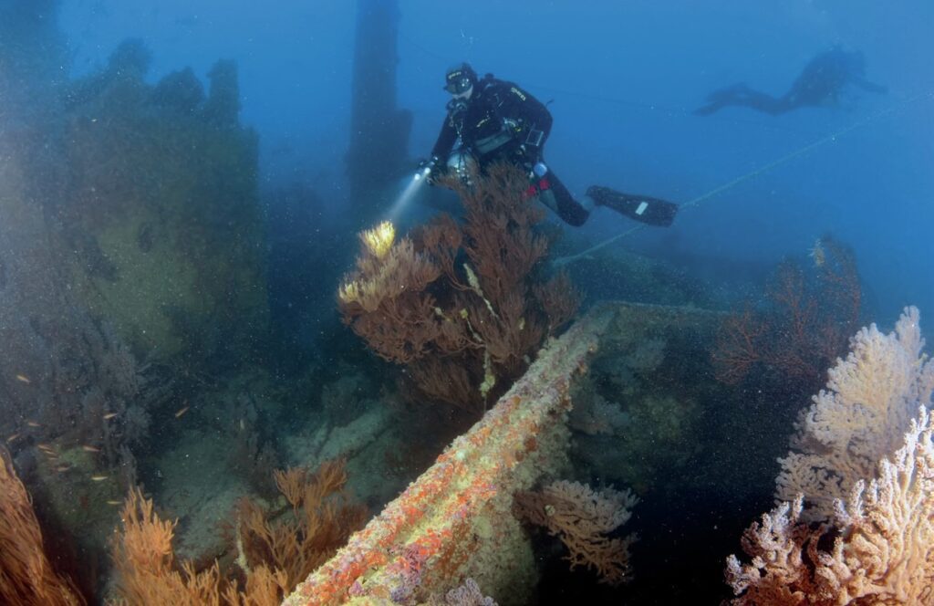 The wrecks is covered in corals and sponges