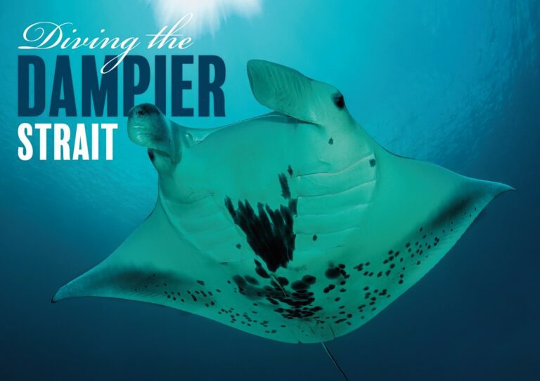 Dykning The Dampier Strait